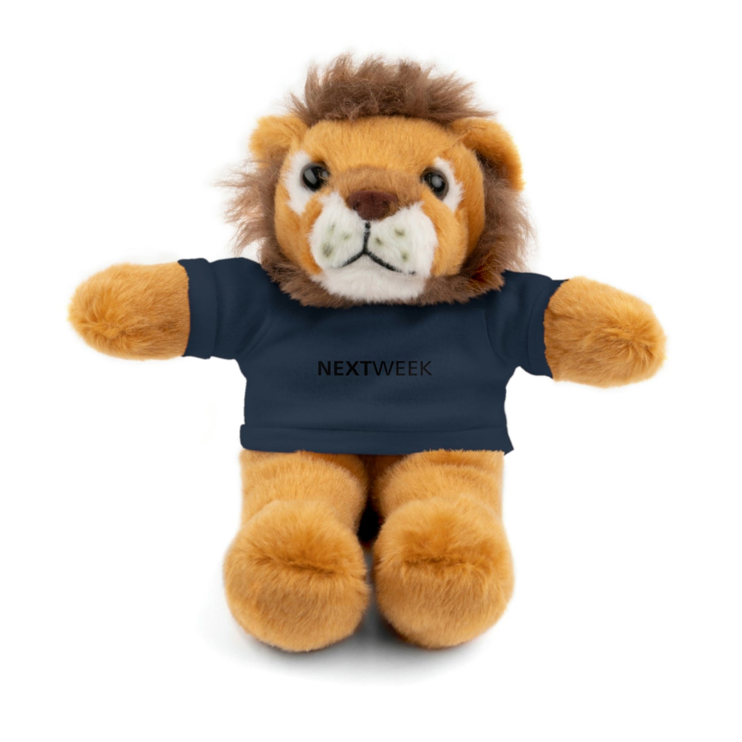 NextWeek Teddy